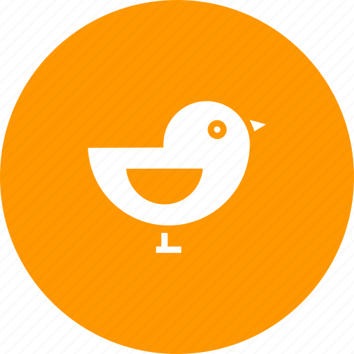 Autumn, bird, sparrow, thanksgiving icon - Download on Iconfinder