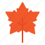 maple, leaf, thanksgiving, holiday, autumn, vacation 