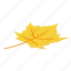 autumn, leaf, isometric 