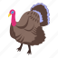 big, turkey, isometric 