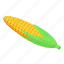 corn, isometric, maize 