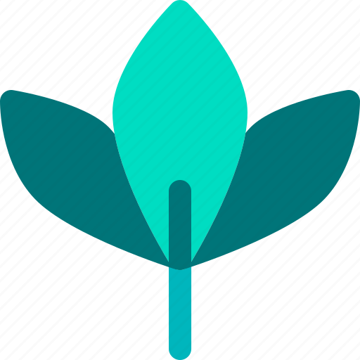 Herbal, leaves, relax, spa, treatment icon - Download on Iconfinder