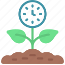 time, growth, growing, plant
