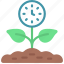 time, growth, growing, plant 