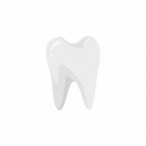 Dentistry, denture, false teeth, oral, oral care, teeth, tooth icon - Download on Iconfinder
