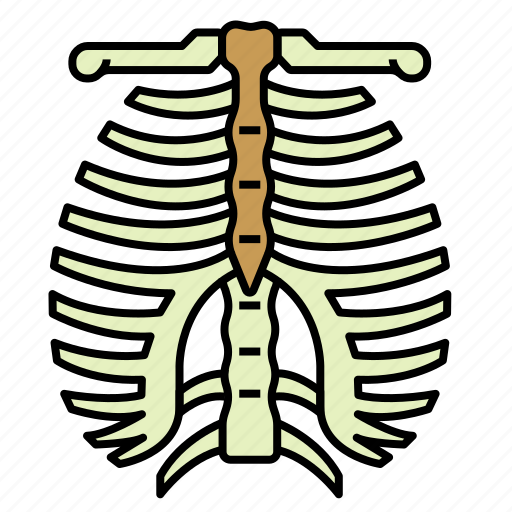 Anatomy, bones, cage, medical, organ, rib, torso icon - Download on Iconfinder