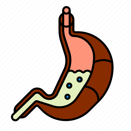 Anatomy, health, medical, organ, stomach, torso icon - Download on Iconfinder