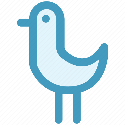 Bird, gull, ocean, sea, sea bird, seagull icon - Download on Iconfinder