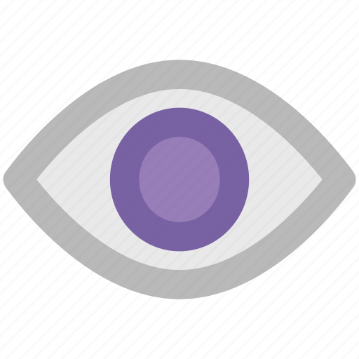 Eye, look, ratina, see, view, visible icon - Download on Iconfinder