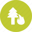 danger, disaster, fire, flame, forest, pine, tree