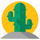 cactus, desert, holiday, nature, travel, tree