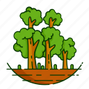 forest, leaf, nature, plant, tree