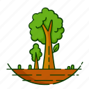 forest, leaf, nature, plant, tree