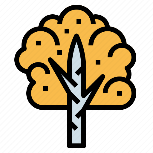 Birch, botanical, ecology, tree icon - Download on Iconfinder