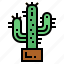botanical, cactus, dry, nature 