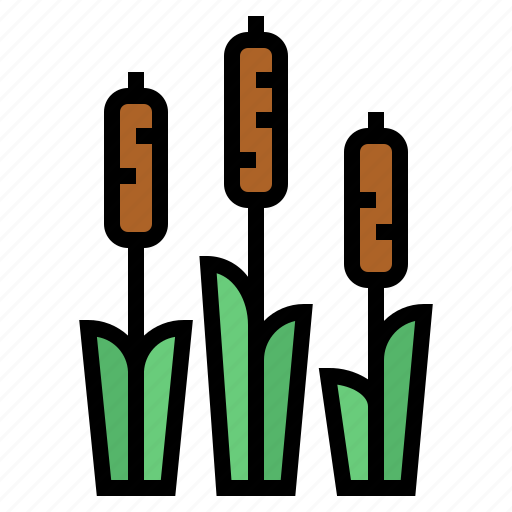 Cattails, nature, plants, typha icon - Download on Iconfinder