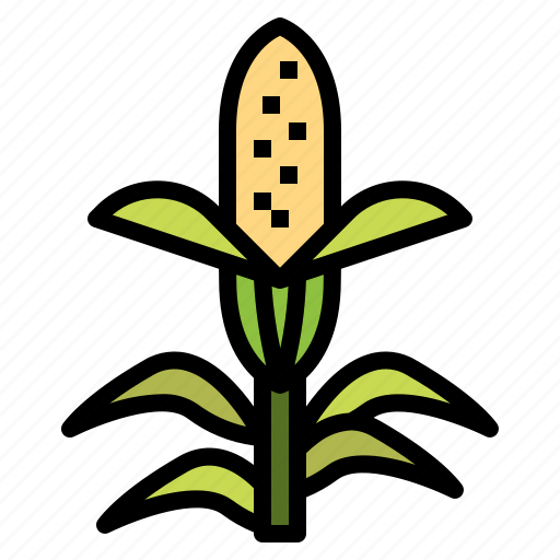 Cereal, corn, organic, vegan icon - Download on Iconfinder