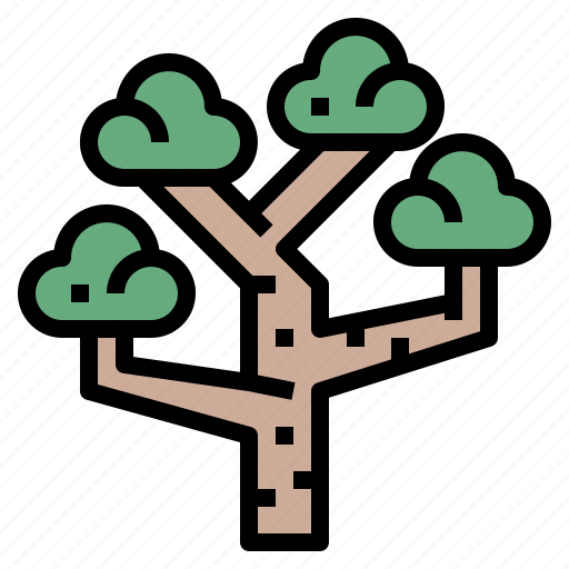 Ecology, eucalyptus, nature, tree icon - Download on Iconfinder