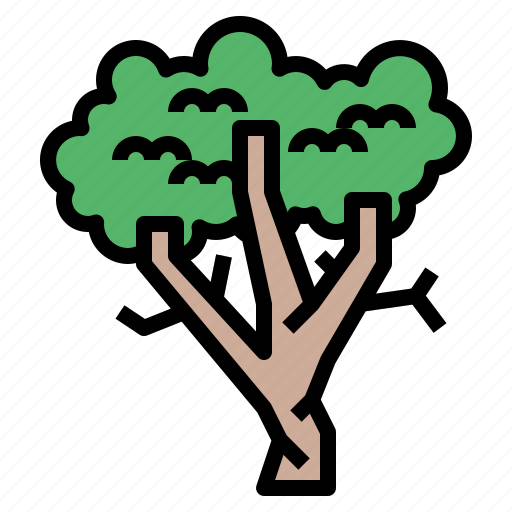 Botanical, ecology, sycamore, tree icon - Download on Iconfinder