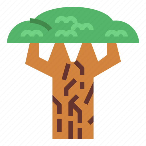 Baobab, biology, botanical, nature icon - Download on Iconfinder