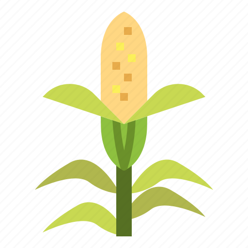 Cereal, corn, organic, vegan icon - Download on Iconfinder