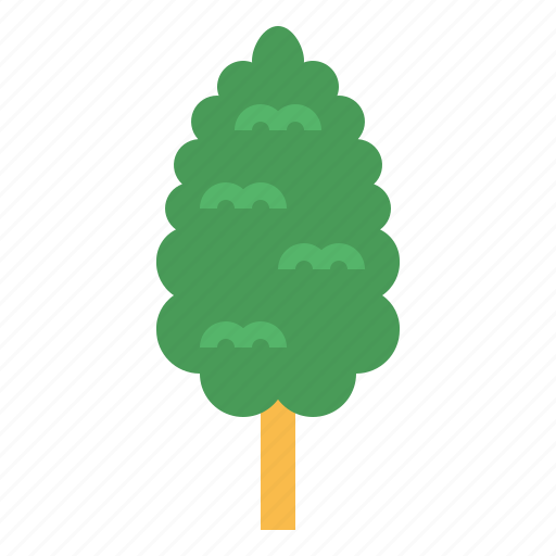 Botanical, cypress, nature, tree icon - Download on Iconfinder