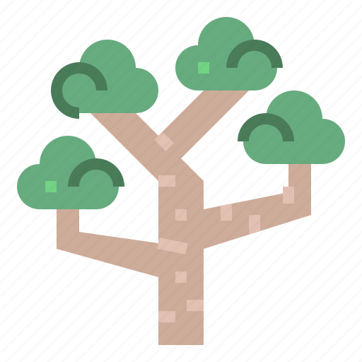 Ecology, eucalyptus, nature, tree icon - Download on Iconfinder