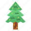 christmas, nature, spruce, tree 