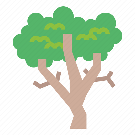 Botanical, ecology, sycamore, tree icon - Download on Iconfinder