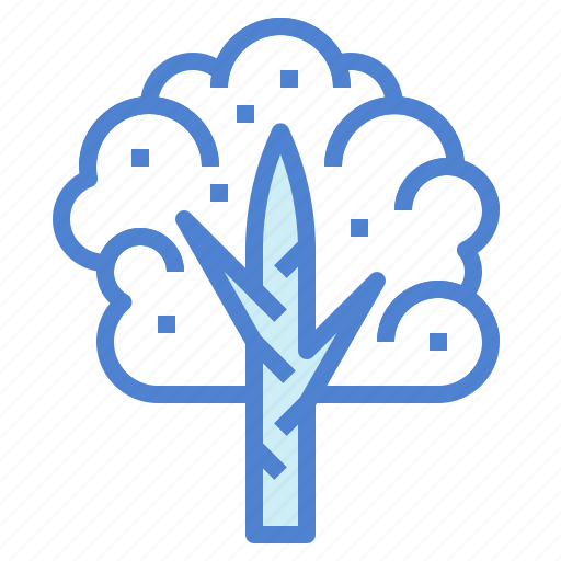 Birch, botanical, ecology, tree icon - Download on Iconfinder