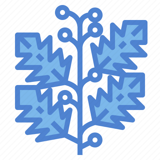Branches, holly, nature, plant icon - Download on Iconfinder