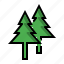 christmas, pine, pinus, plant, tree 