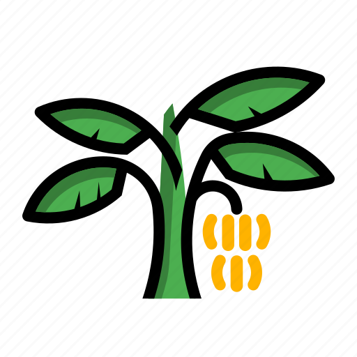 Banana, fruit, plant, tree icon - Download on Iconfinder