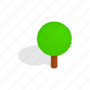 forest, isometric, nature, plant, spherical, tree
