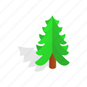fir, isometric, leaf, nature, plant, shadow, tree