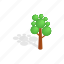 forest, isometric, nature, plant, shadow, tree 
