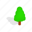 forest, isometric, nature, plant, shadow, tree 