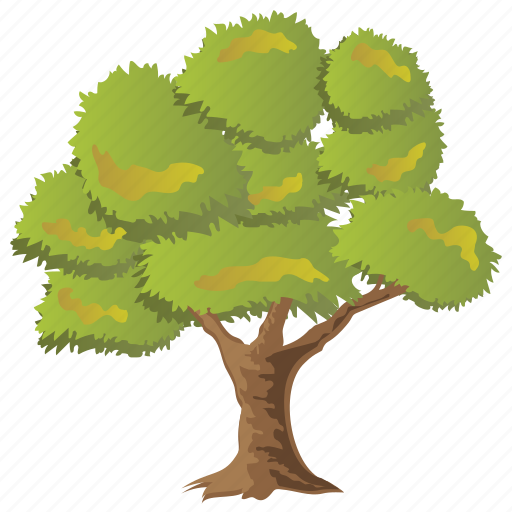 Chestnut oak, chestnuts, deciduous tree, shrubs, spreading trees icon - Download on Iconfinder