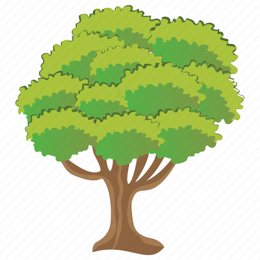 Aesculus hippocastanum, ecology, evergreen tree, horse chestnut tree, tree icon - Download on Iconfinder