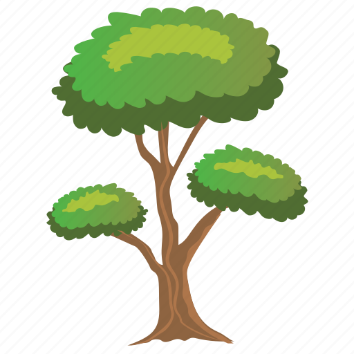 Nature, pinus bonsai tree, pinus sylvestris, pinus sylvestris watereri, tree icon - Download on Iconfinder