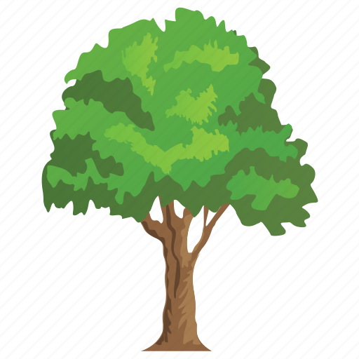 Ash tree, deciduous tree, firewood, greenery, olive family icon - Download on Iconfinder