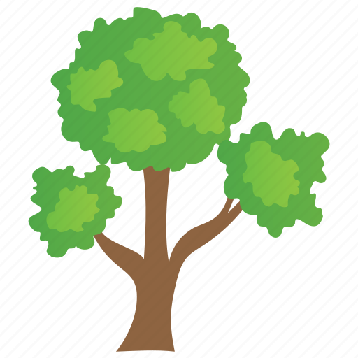 Chinese evergreen pear, generic tree, irregular form tree, open form tree, tree icon - Download on Iconfinder