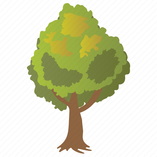 Elm tree, forestry, semi deciduous tree, ulmus tree, woods icon - Download on Iconfinder