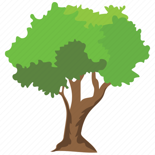Greenery, nature, park, shrub tree, walnut tree icon - Download on Iconfinder