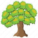 chestnut oak, chestnuts, deciduous tree, shrubs, spreading trees