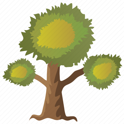 Deciduous, eucalyptus tree, forestry, photosynthesis, trees icon - Download on Iconfinder
