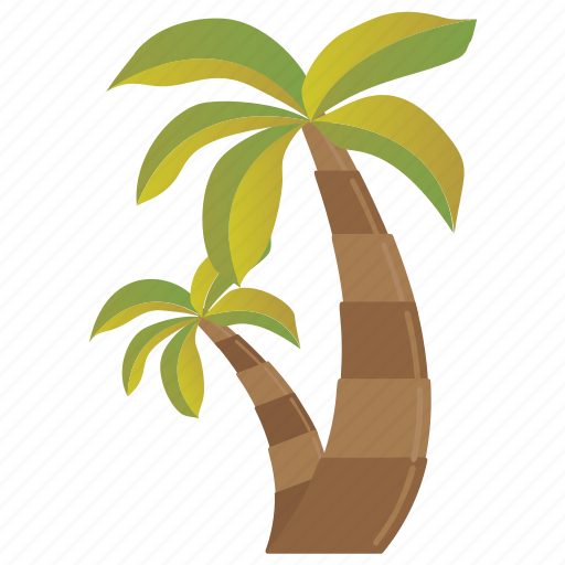 Coconut tree, date tree, nature, palm tree, tropical tree icon - Download on Iconfinder