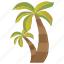 coconut tree, date tree, nature, palm tree, tropical tree 