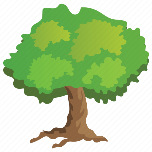Agriculture, ecology, evergreen tree, forestry, hackberry tree icon - Download on Iconfinder