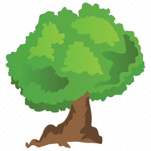 Black ash tree, ecology, evergreen tree, fraxinus nigra icon - Download on Iconfinder
